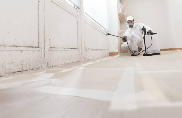 24/7 Emergency Basement Mold Remediation experts in Laurel, VA